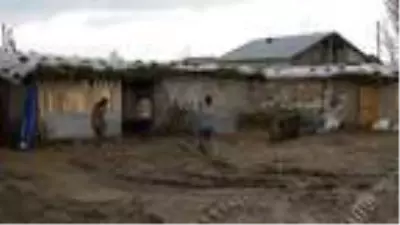 Muş'ta dere taştı, 75 küçükbaş ve 1 büyükbaş telef oldu Muş'ta dere taştı, 75 küçükbaş ve 1 büyükbaş telef oldu