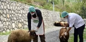 Mehmet Yarka: Şırnak Belediyesi ramazanda her hafta ihtiyaç sahiplerine 2 ton et dağıtacak Mehmet Yarka: Şırnak Belediyesi ramazanda her hafta ihtiyaç sahiplerine 2 ton et dağıtacak