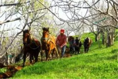 Cumhurbaşkanı çağrı yaptı, Aydın'da üretim seferberliği başladı Cumhurbaşkanı çağrı yaptı, Aydın'da üretim seferberliği başladı