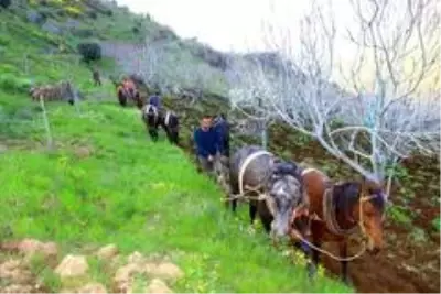 Cumhurbaşkanı çağrı yaptı, Aydın'da üretim seferberliği başladı Cumhurbaşkanı çağrı yaptı, Aydın'da üretim seferberliği başladı