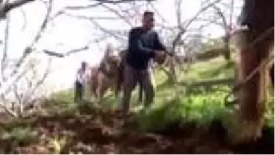 Cumhurbaşkanı çağrı yaptı, Aydın'da üretim seferberliği başladı Cumhurbaşkanı çağrı yaptı, Aydın'da üretim seferberliği başladı