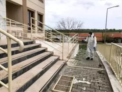 Edirne'den kısa kısa