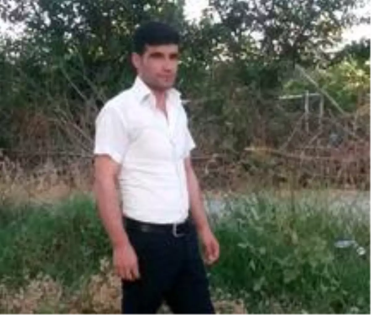 Hayvanlar köye yalnız dönünce acı olay ortaya çıktı