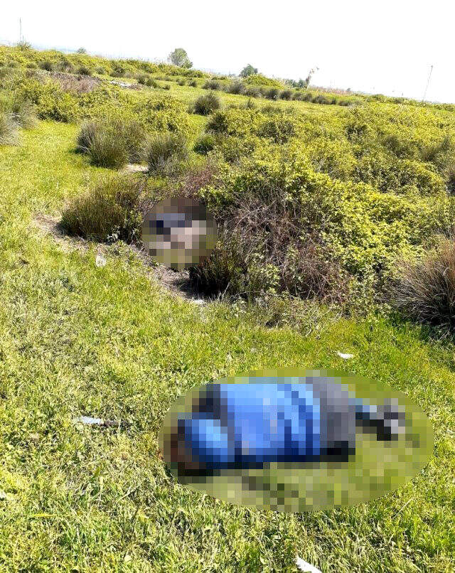 Husumetli aileler arasında çıkan kavgada bir aile yok oldu: 4 ölü, 1 yaralı