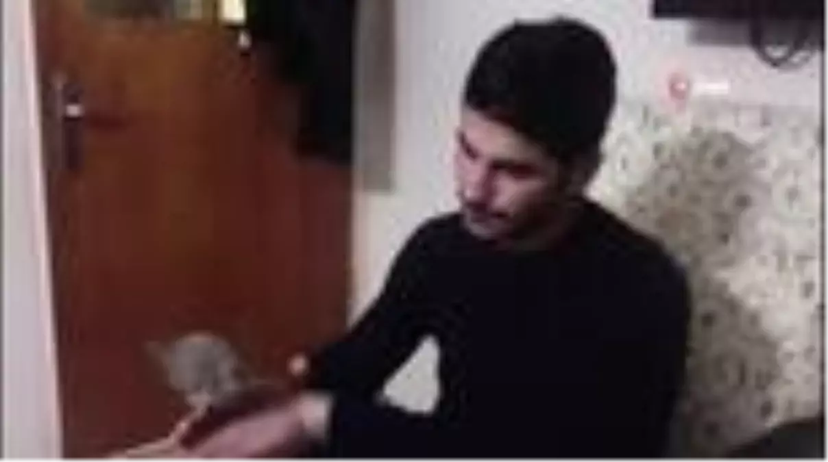 Manisalı genç, yaralı kumruya sahip çıktı