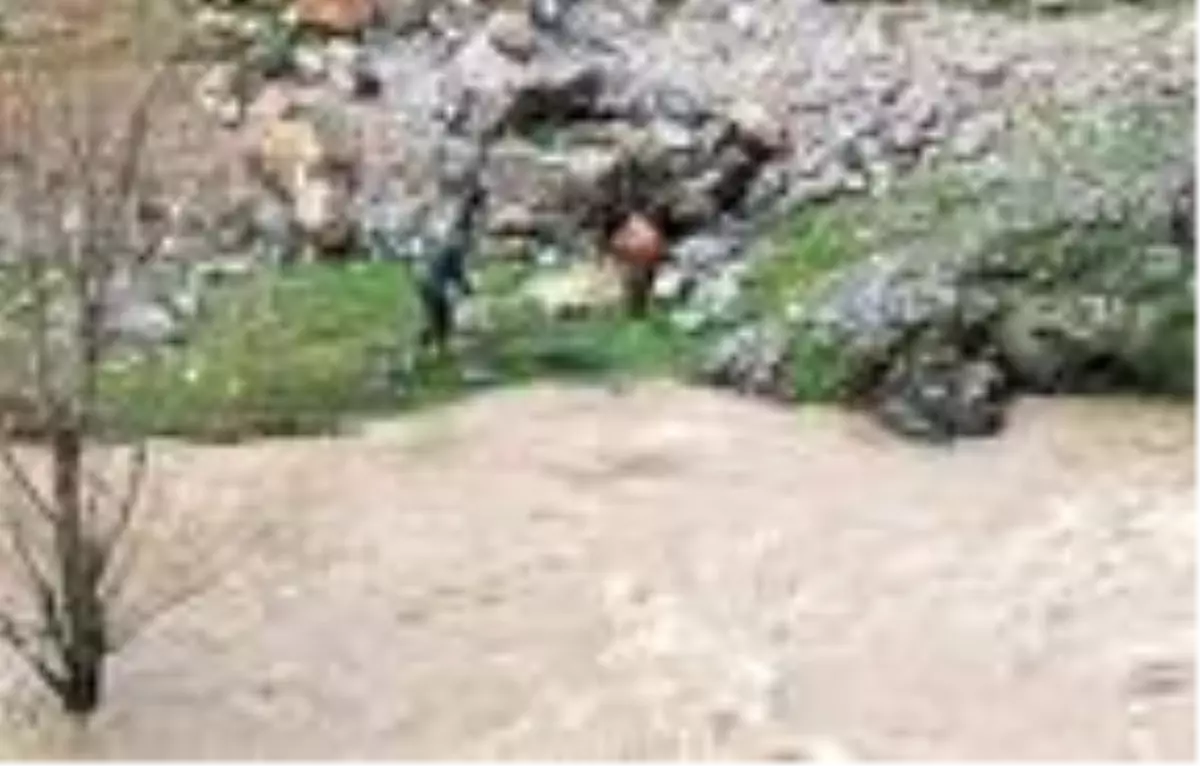 Taşan derelere ağ atarak, balık yakaladılar