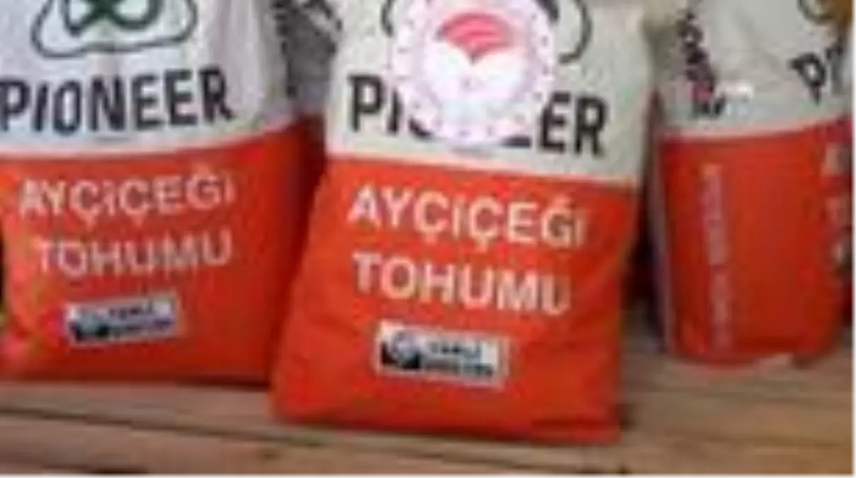 Yüzde 75 hibeli tohumlar dağıtılıyor