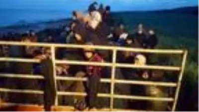 KKTC'deki 175 Suriyeli mültecinin 75'i Türkiye'ye gönderildi KKTC'deki 175 Suriyeli mültecinin 75'i Türkiye'ye gönderildi