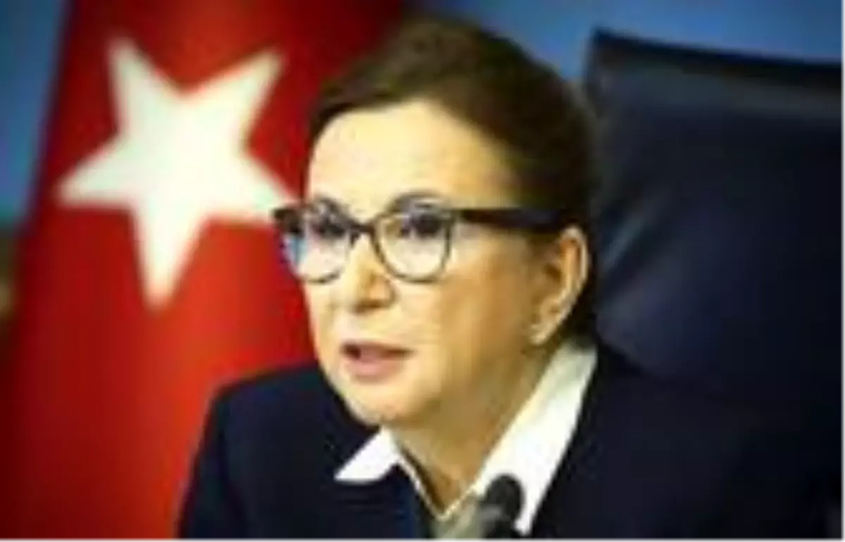 Bakan Pekcan, temassız ticaretle TIR ve vagon geçişlerini açıkladı