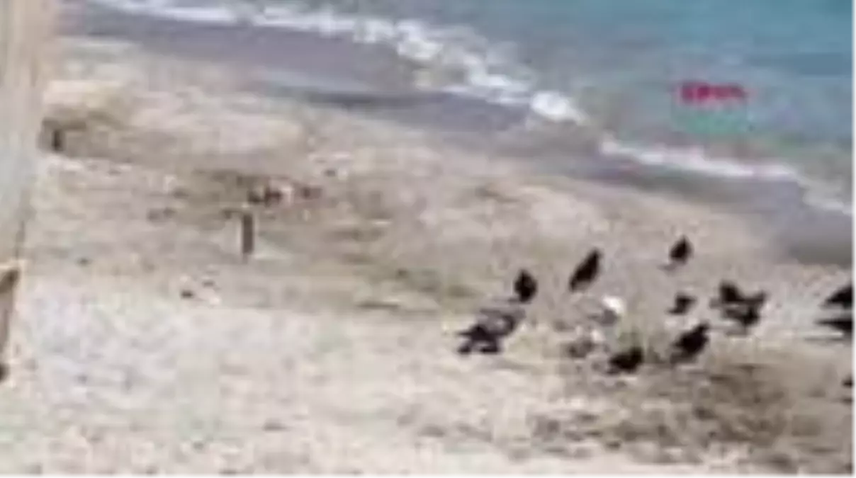 Bodrum bugün de sessizdi