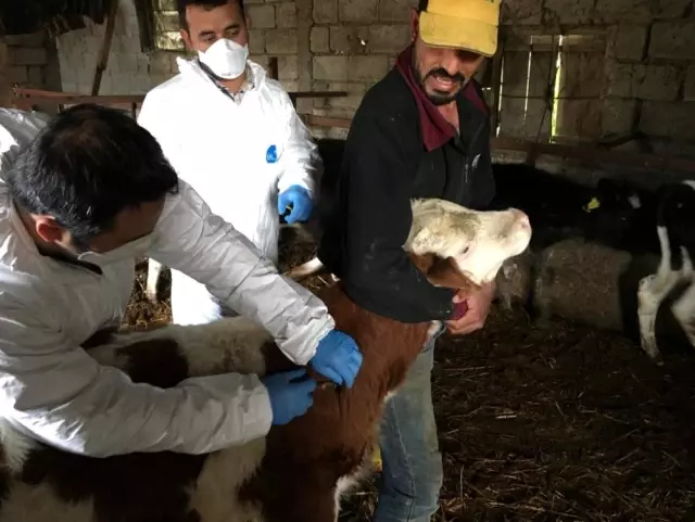 Tarımsal üretim kesintisiz sürüyor Haberler Ekonomi
