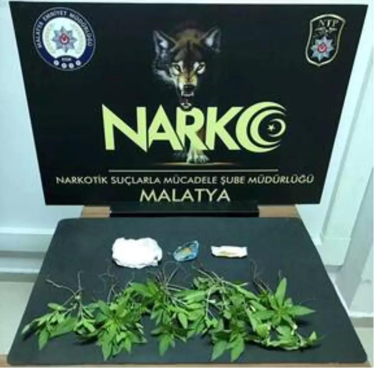 Malatya'da 'torbacı' operasyonunda yakalanan zanlı tutuklandı