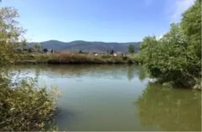 Millet Parkı çalışmaları devam ediyor Millet Parkı çalışmaları devam ediyor