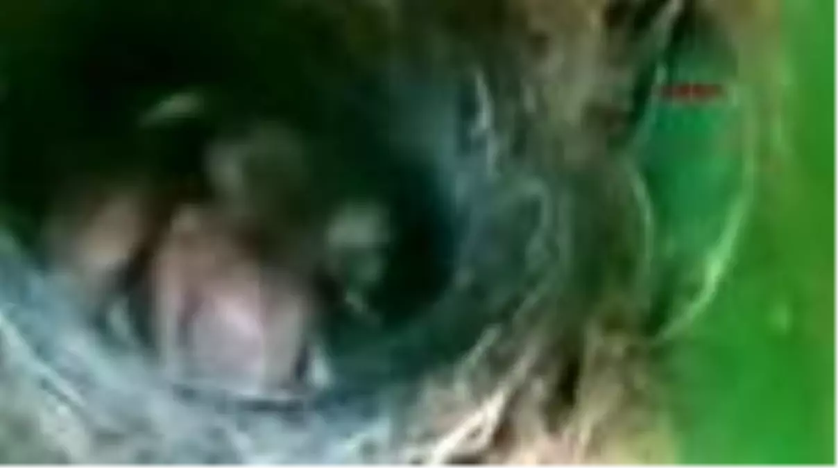 SAKARYA Kuşlar uçana kadar traktörünü çalıştırmayacak