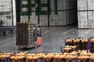 Ankara Büyükşehir Belediyesi de Mersin'den limon alacak