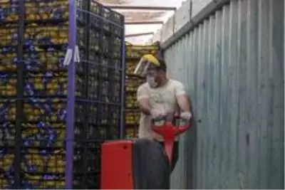 Ankara Büyükşehir Belediyesi de Mersin'den limon alacak