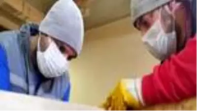 Sokak hayvanları için 61 noktaya mama istasyonu yerleştirildi Sokak hayvanları için 61 noktaya mama istasyonu yerleştirildi