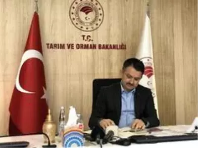 Bakan Pakdemirli: Bakan Pakdemirli:
