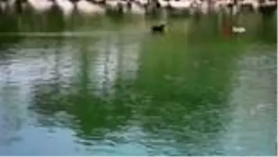 Belediye tesislerinde salgın avantaja çevrildi Belediye tesislerinde salgın avantaja çevrildi