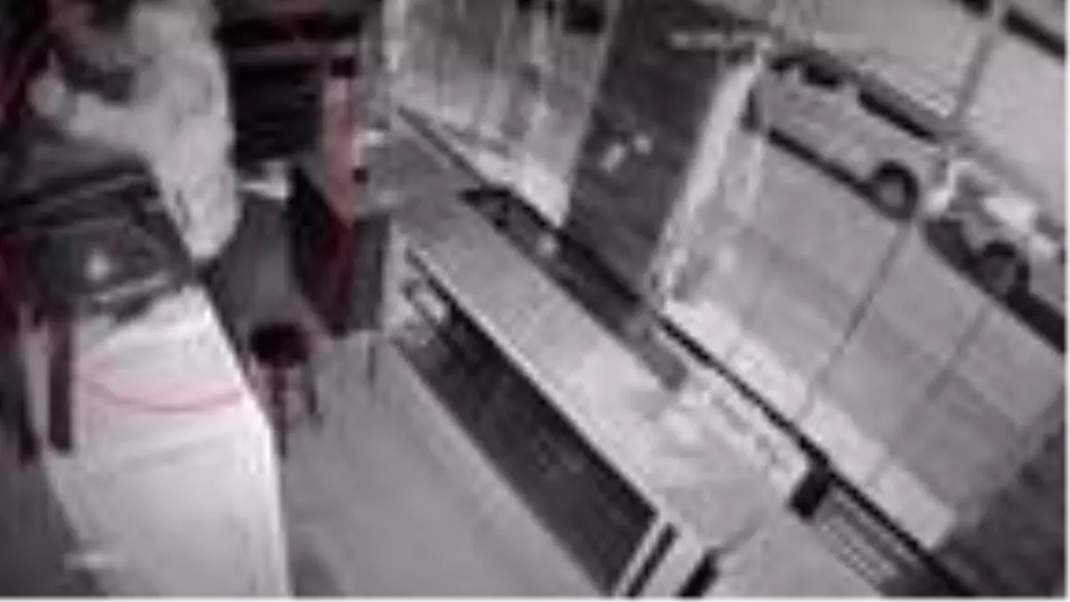 Börekçi dükkanından televizyon hırsızlığı kamerada