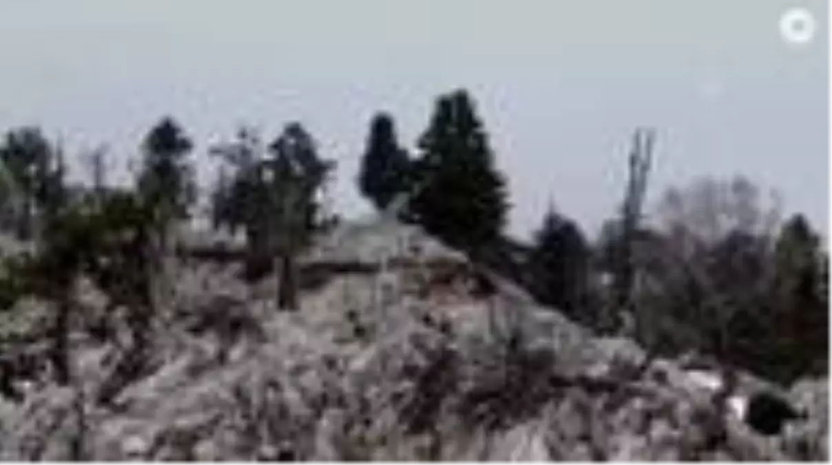 Toroslar'ın yaban keçileri havadan görüntülendi