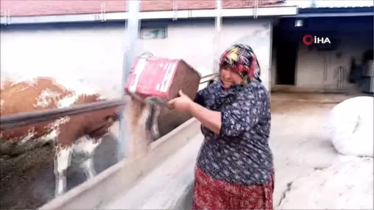 Tüm Türkiye onun mesajına duygulanmıştı