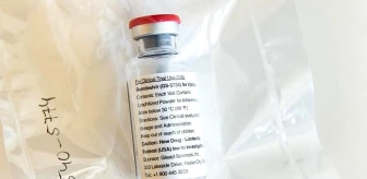 ABD sağlık otoritesi: Remdesivir sonuçları, bir ilacın koronavirüsü önleyebileceğine kanıt
