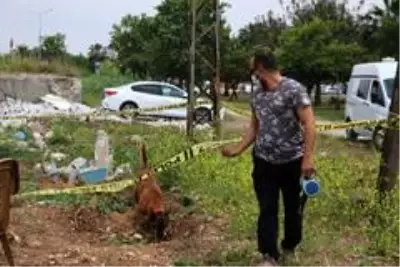 Ekipleri harekete geçiren esrarengiz mezardan yavru köpek ölüsü çıktı.