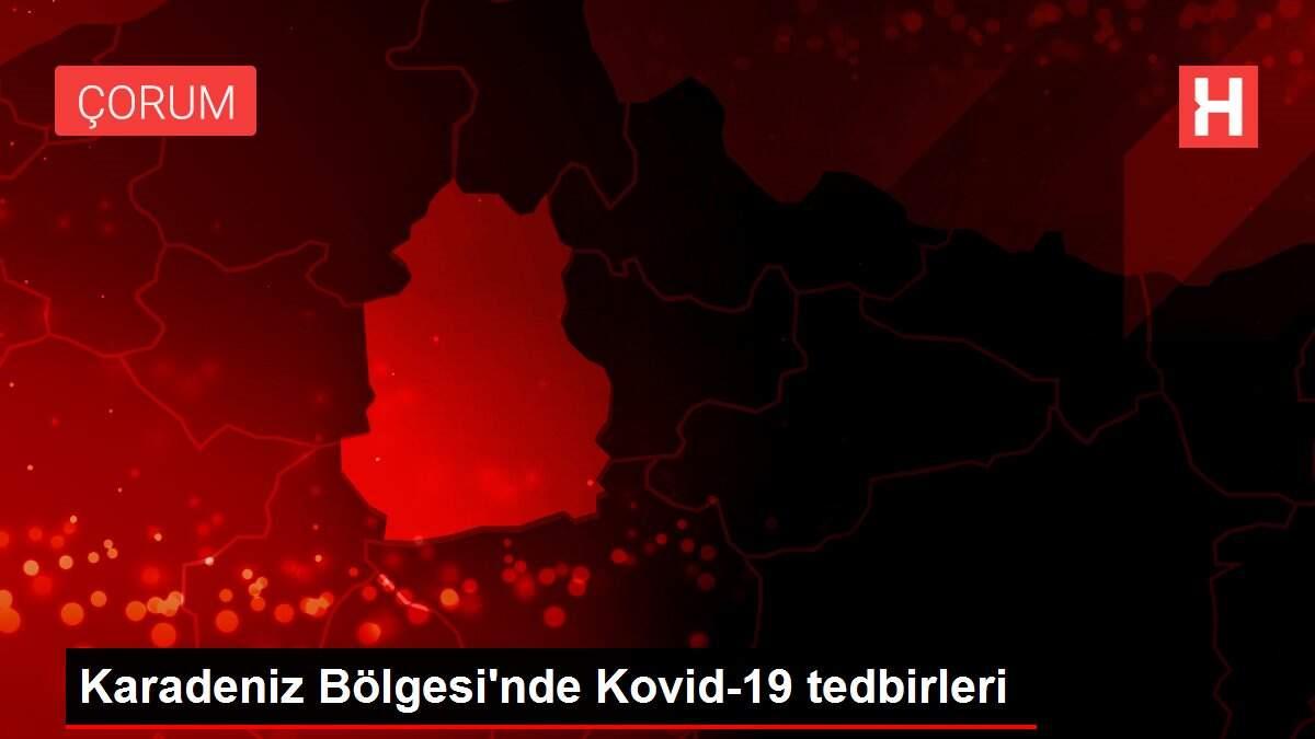 Karadeniz Bölgesi'nde Kovid-19 tedbirleri