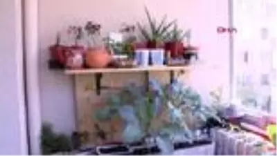 KORONAVİRÜS GÜNLERİNDE BALKONLARINI BAHÇEYE ÇEVİRDİLER KORONAVİRÜS GÜNLERİNDE BALKONLARINI BAHÇEYE ÇEVİRDİLER