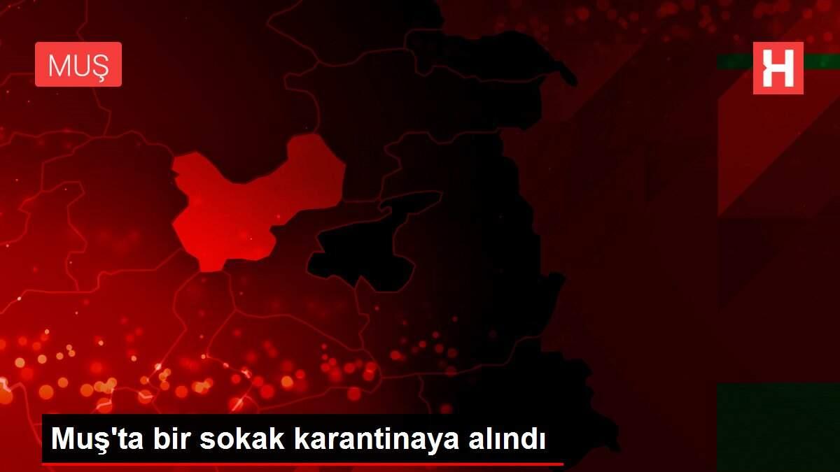 Muş'ta bir sokak karantinaya alındı