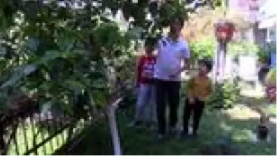 Türk ve Çinli aileler koronavirüsten ders aldı Çocuklarımızla daha çok vakit geçirmek istiyoruz