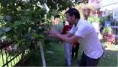 Türk ve Çinli aileler koronavirüsten ders aldı Çocuklarımızla daha çok vakit geçirmek istiyoruz