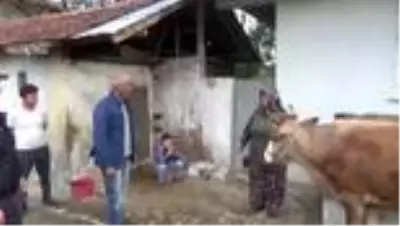 Üç ineğinden birini Milli Dayanışma Kampanyası’na bağışladı