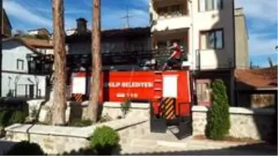 Ağaçta mahsur kalan kediyi itfaiye kurtardı Ağaçta mahsur kalan kediyi itfaiye kurtardı