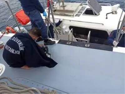 Bodrum'dan Yunanistan'a sörf tahtasıyla geçmeye çalışan sığınmacı yakalandı