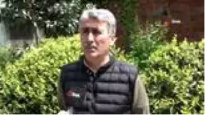 Çay işçiliğinin yevmiyesi 200-300 liraya kadar yükselince bahçelerde çalışma talebi çoğaldı Çay işçiliğinin yevmiyesi 200-300 liraya kadar yükselince bahçelerde çalışma talebi çoğaldı