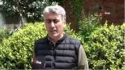 Çay işçiliğinin yevmiyesi 200-300 liraya kadar yükselince bahçelerde çalışma talebi çoğaldı Çay işçiliğinin yevmiyesi 200-300 liraya kadar yükselince bahçelerde çalışma talebi çoğaldı