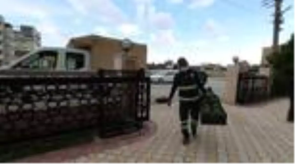 Evler 'reyhan çiçeği' kokacak