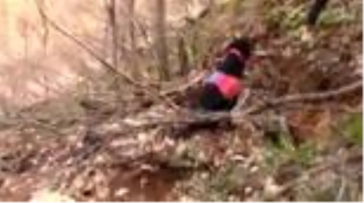 PKK'nın cephaneliği ele geçirildi