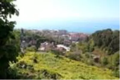 Çay üreticileri köy köy gezerek 6 bin 900 TL maaşla 2 bin işçi arıyor.