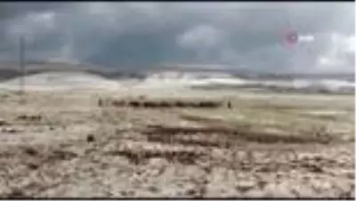 Ardahan’da dolu ekili alanlara zarar verdi... Gökkuşağı görsel şölen oluşturdu