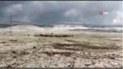 Ardahan'da dolu ekili alanlara zarar verdi... Gökkuşağı görsel şölen oluşturdu Ardahan'da dolu ekili alanlara zarar verdi... Gökkuşağı görsel şölen oluşturdu