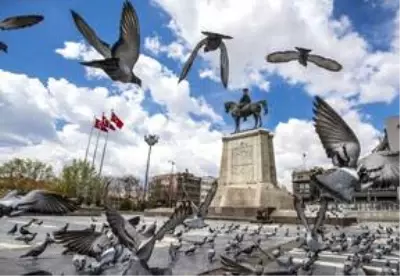 Başkentliler sokağa çıkma kısıtlamasının ikinci gününde de evlerinde kalmaya özen gösterdi