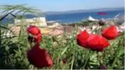 Çanakkale'nin turizm cenneti Bozcaada'da koronavirüs görülmedi Çanakkale'nin turizm cenneti Bozcaada'da koronavirüs görülmedi