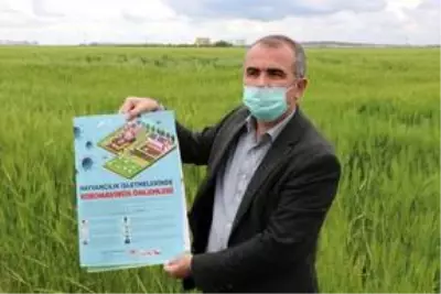 Diyarbakır'da süneyle mücadele çalışması başlatıldı Diyarbakır'da süneyle mücadele çalışması başlatıldı