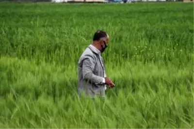 Diyarbakır'da süneyle mücadele çalışması başlatıldı Diyarbakır'da süneyle mücadele çalışması başlatıldı
