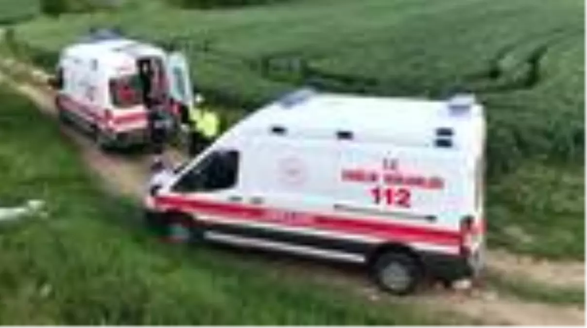 Minibüs köprüden düştü: 1 yaralı