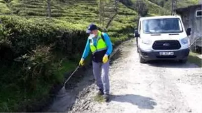 Trabzon'da vektörel mücadele çalışmalarına ağırlık verildi Trabzon'da vektörel mücadele çalışmalarına ağırlık verildi