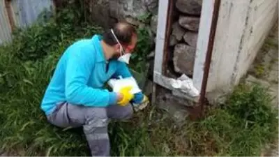 Trabzon'da vektörel mücadele çalışmalarına ağırlık verildi Trabzon'da vektörel mücadele çalışmalarına ağırlık verildi